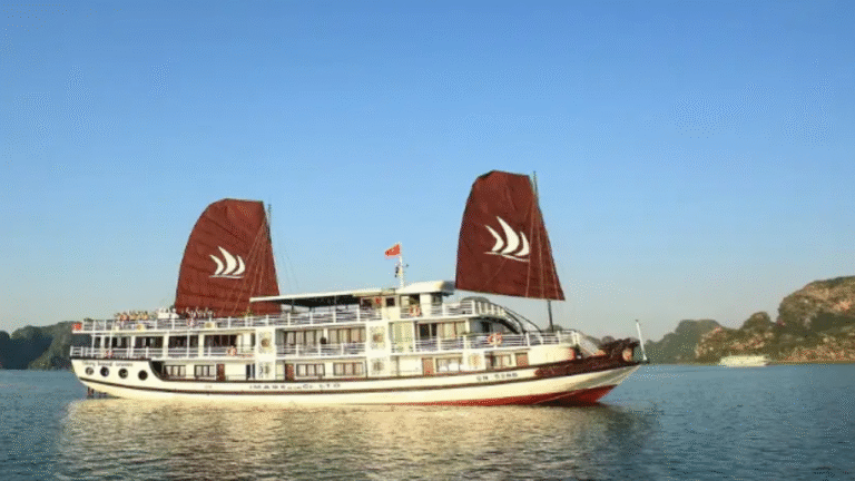 CruiseExplore: Your Ultimate Guide to Discovering the Seas